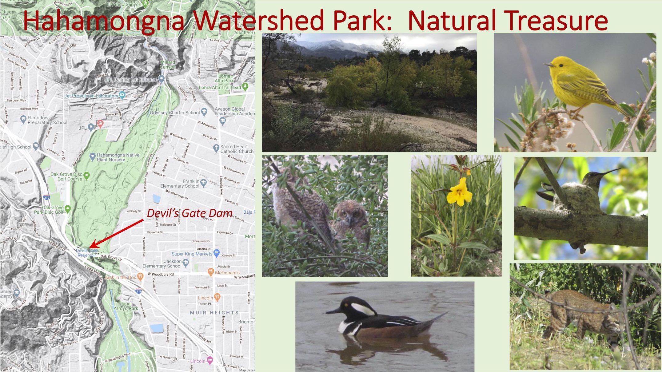 Hahamonga Watershed Park: A national treasure
