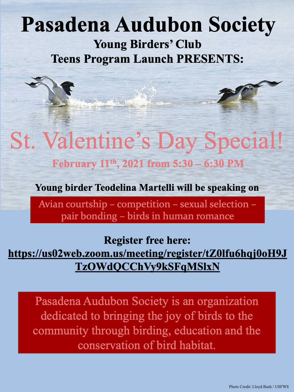 Young Birders Club TEENS Valentines meeting
