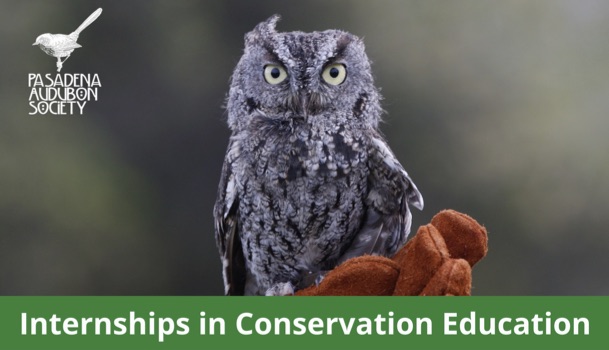 Internships in Conservation Education image