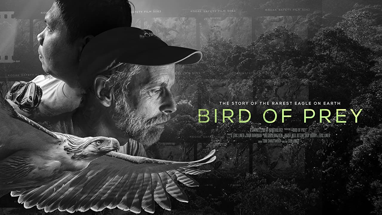 Bird of Prey poster