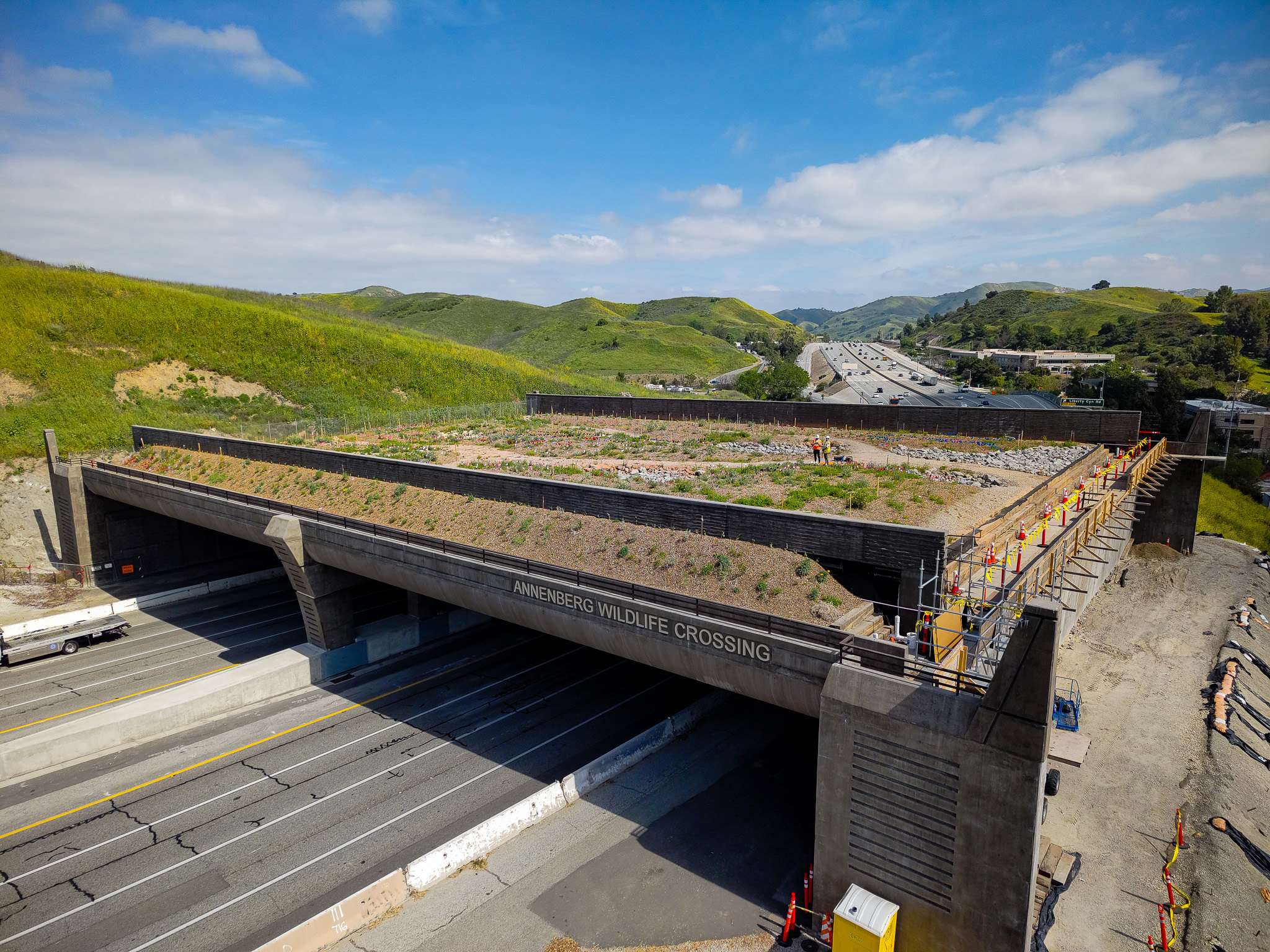 wildlife crossing image