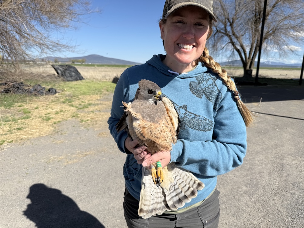 Teresa Ely with raptor