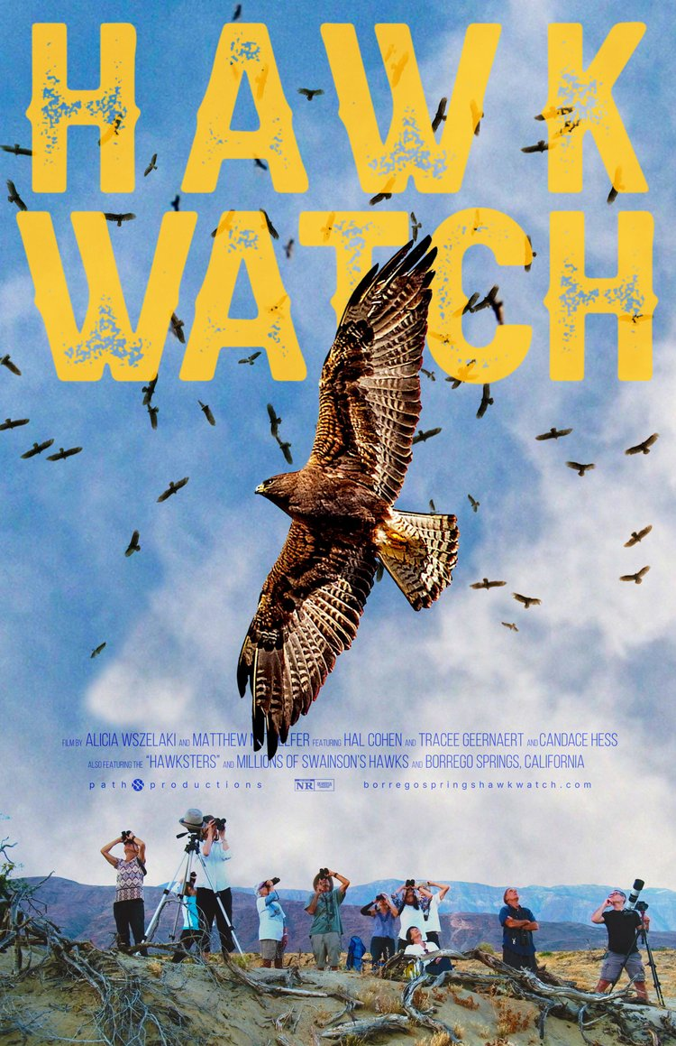 movie poster for 'Hawk Watch'
