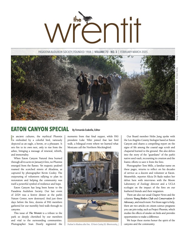 February 2025 Wrentit newsletter cover